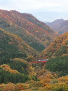 144 奥新川の紅葉