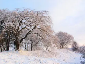 314 県民の森の雪景色