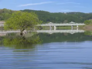 001 花山湖の春