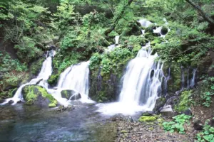 006 丸松保沢