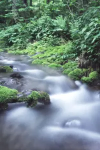 066 船形山の沢