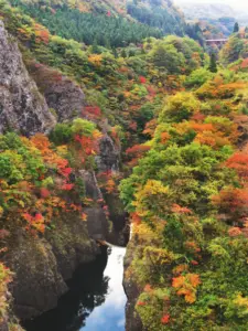 275 南川の紅葉