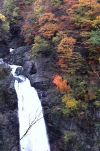 208 秋保大滝の紅葉