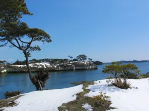 354 松島の雪景色