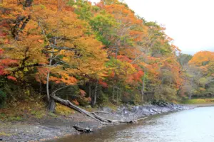 172 桑沼の紅葉