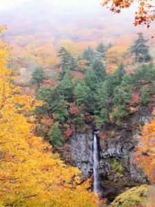 257 船形山の紅葉