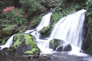 005 丸松保沢