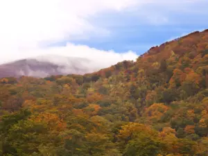 241 泉ヶ岳の紅葉