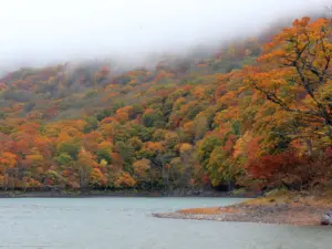 174 桑沼の紅葉