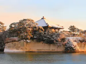 361 松島の雪景色