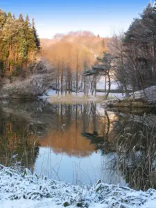 326 県民の森の雪景色