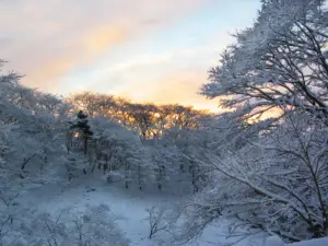 309 県民の森の雪景色