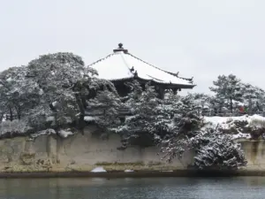 369 松島の雪景色