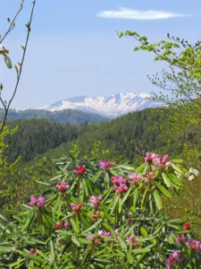 027 栗駒山を望む