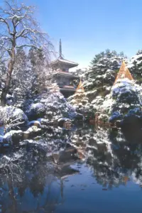 442 輪王寺の雪景色