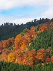 166 栗駒の紅葉