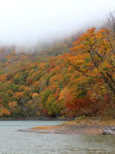 175 桑沼の紅葉