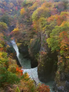 276 南川の紅葉