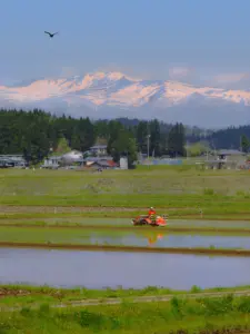 026 栗駒山を望む