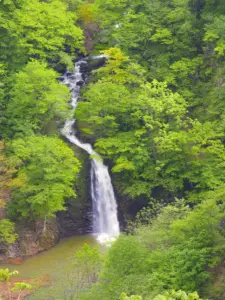 061 秋保大滝の春