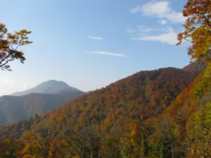 243 泉ヶ岳の紅葉