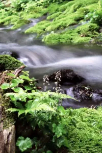 067 船形山の沢