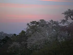 043 県民の森の春