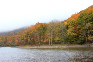 171 桑沼の紅葉