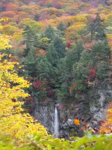 235 色麻大滝の紅葉