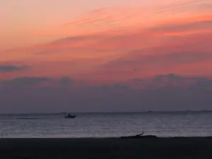 293 蒲生海岸の初日