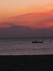 294 蒲生海岸の初日