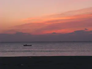 295 蒲生海岸の初日