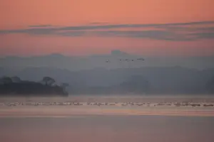 281 伊豆沼の朝