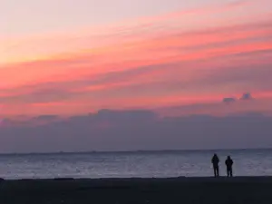 292 蒲生海岸の初日