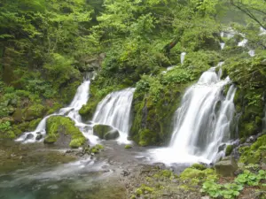 011 丸松保沢