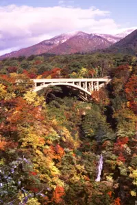 280 鳴子峡の紅葉