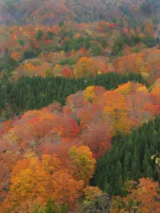 168 栗駒の紅葉