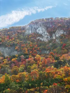 238 泉ヶ岳の紅葉